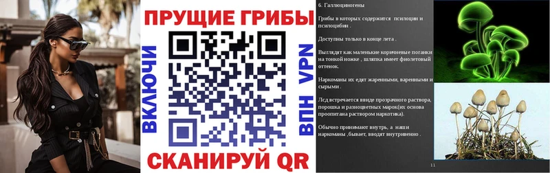 Купить закладки  Новороссийск  Псилоцибиновые грибы MAGIC MUSHROOMS 