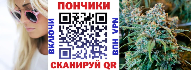 Бошки Шишки ГИДРОПОН  Купить  Новороссийск 